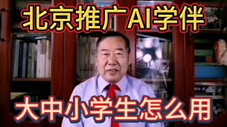 北京推广AI学伴，大中小学生怎么用