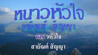 หนาวหัวใจ สายัณห์ สัญญา #คาราโอเกะ #karaoke