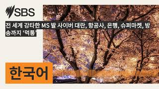 전 세계 강타한 MS 발 사이버 대란, 항공사, 은행, 슈퍼마켓, 방송까지 ‘먹통’ | SBS Korean - SBS 한국어 프로그램