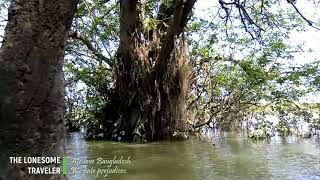 Experiences in unknown Bangladesh. The Ratargul Swamp Forest