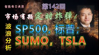 【智胜每日美股】 2021年1月4日 市场有颗定时炸弹！波浪分析：SP500, 标普；SUMO，TSLA