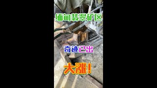 奇迹已出，大涨！不止二十条手镯，小相眼光就是独特！| 赌石 | 缅甸翡翠矿区 | 翡翠原石