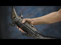 QUICK TEST: OBJECT TRACKING IN BLENDER