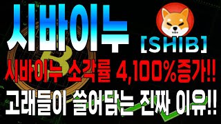 [시바이누 코인전망] 시바이누코인 🔥 소각률 4100% 증가!! 🐳 고래들이 쓸어담는 진짜이유!!