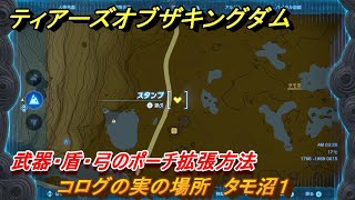 ティアキン　コログの実の場所　タモ沼１　武器・盾・弓のポーチ拡張方法　＃１０００　【ゼルダの伝説ティアーズオブザキングダム】