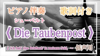 音大院卒【ピアノ伴奏】シューベルト「鳩の便り」《白鳥の歌》第14曲【歌詞付き】Die Taubenpost／Schwanengesang