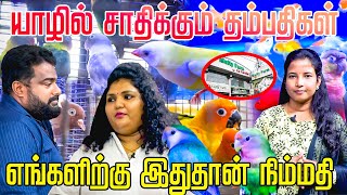 யாழில் சாதிக்கும் தம்பதிகள் | அனைத்து விதமான செல்லப்பிராணிகளும் வாங்க Multy Farm Jaffna | #jaffna