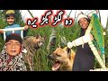 Da Lagar Bagar Yara Pashto New Funny Video 2022 by Tuti Gull Official