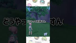 【pokémon SV】Tandemaus color selection