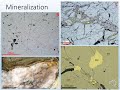 gsa wa november speaker 2018 imogen fielding au mineralization in the capricorn orogen wa