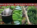 10 TIPS na Dapat mong Gawin Para Kumita ng Malaki sa mga Tanim mong Lakatan(Planting to Harvesting)