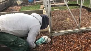 No 13 - Dismantling, moving \u0026 erecting the greenhouse.