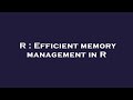 R : Efficient memory management in R