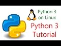 Python 3 on Linux (Explanation using Raspbian desktop)