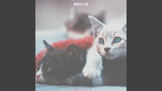 温和训练猫梦想