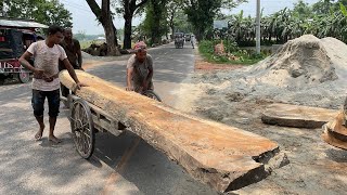 Wood Cutting Layer|| Multi Layered Wood Cutting