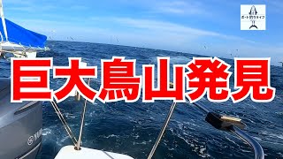 カツオ釣りに出たら巨大な鳥山を発見！【船釣り/ジギング/マイボート/プレジャーボート/YFR27】