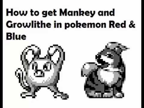 How to get Mankey & Growlithe in pokemon Red & Blue How to get Mankey & Growlithe in pokemon Red & Blue