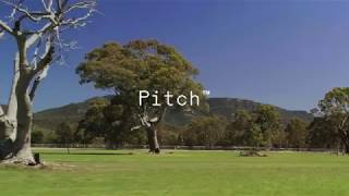 Luscious Pastures — Pitch Music & Arts 2020