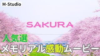 【メモリアル感動ムービー＃３ 】「桜」をテーマに制作しました。LINEで完結　写真とメッセージがあれば即納いたします。＃葬式＃葬儀＃終活＃エンディングムービー＃動画制作＃メモリアルムービー＃格安