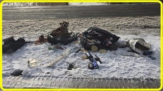 【驚愕】雪の中捨てられ、ゴミ袋で暖をとっていた１匹の犬…保護されて９日後に、幸せな未来が始まる！【世界が感動！涙と感動エピソード】