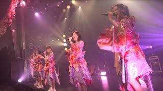 Devil ANTHEM./「そわそわチョコレート」 2023.3.26 LIVE ver.