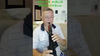 癡情台西港 Bb調山葉電吹管倣次中音sax