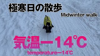 1年で一番寒い日の朝の犬散歩　Walking a dog on the coldest day of the year