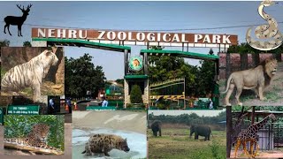 family andaram kalisi zoo park velamu🐯🦁|| part-1 #zoo #nehruzoologicalpark #subscribe #viral #like