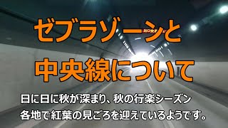 ゼブラゾーンと中央線について