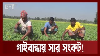 সার সংকটে বিপাকে গাইবান্ধার কৃষকরা | News | Ekattor TV