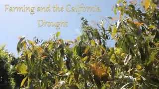 Farming and the California Drought PSA: Mini-Documentary