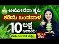 10 Lakhs Income with Low Investment-Aloe Vera Cultivation|Aloe Vera Farming in Kannada| ಅಲೋವೆರಾ ಕೃಷಿ