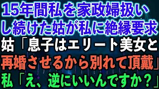 【スカッとする話】15年間私を家政婦扱いし続けた姑が私に絶縁要求。姑「息子はエリート美女と再婚させるから別れて頂戴」私「え、逆にいいんですか？」【修羅場】