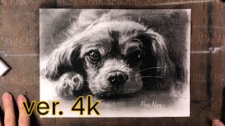 4K 그림교실_콘테로 그리는 강아지 _Charcoal drawing_Puppy