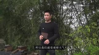 春繁蜜蜂为什么也会逃跑？养蜂师傅告诉你这个原因