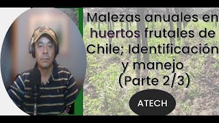 Malezas en huertos frutales de Chile (Identificación y manejo) parte 2 de 3