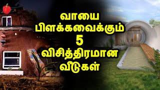 5 விசித்திரமான வீடுகள்  | 5 Most Insane Houses In The World