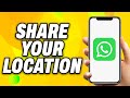 How To Share Your Location on WhatsApp - Quick Fix