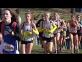 lexington high school xc 2015