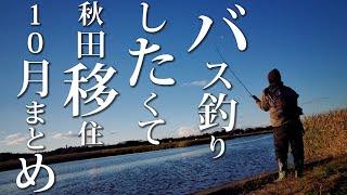 【脱サラ】八郎潟でバス釣りしたくて【秋田移住】10月まとめ