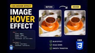 CSS Image Hover Effect Tutorial 🔥 | Blur + Scale Hover Animation