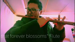 Lotus That Forever Blossoms - Flute By Karma Yenten 🇧🇹bhutan