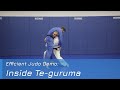 Inside Te-guruma - Demo