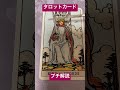 タロットカードプチ解説ソードのキング tarot