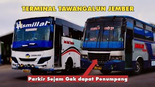 Banyak Bus Berangkat Kosongan Tanpa Penumpang !!! Hunting Bus di Terminal Tawangalun Jember