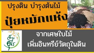 #ปุ๋ยหมักแห้งจากเศษใบไม้ #เลี้ยงดินให้ดินเลี้ยงพืช #บำรุงดิน #บำรุงต้นไม้