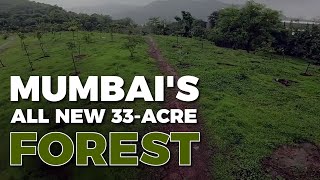 Mumbai To Get A 33-Acre Green Space With 14,000 Trees Planted To Fight Air Pollution | Art Of Living