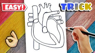 Heart Diagram - Easy Class 10