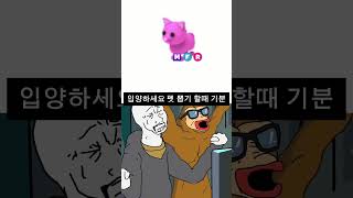 로블록스 입양하세요 펫 뽑기 할때 특징